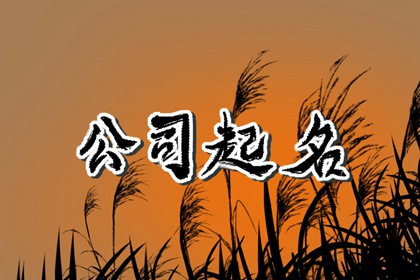 大气吉祥的公司名字 开公司起名字大全免费